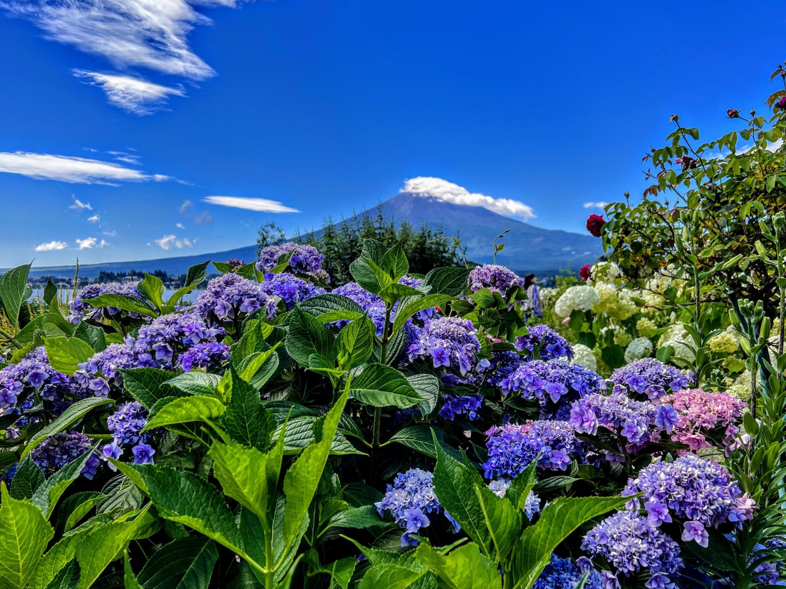 0HJ3m12000h027x8z04A6