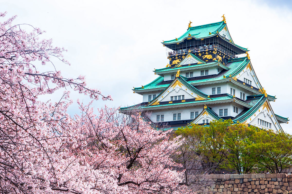 City-guides_things-to-do-in-Osaka_Japan_Osaka-Castle_cherry-blossoms_sakura