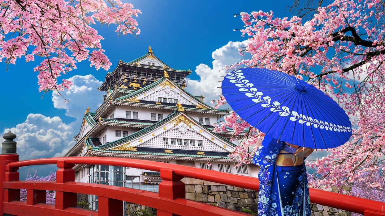 Asian woman wearing japanese traditional kimono looking at cherry blossoms and castle in Osaka, Japan.