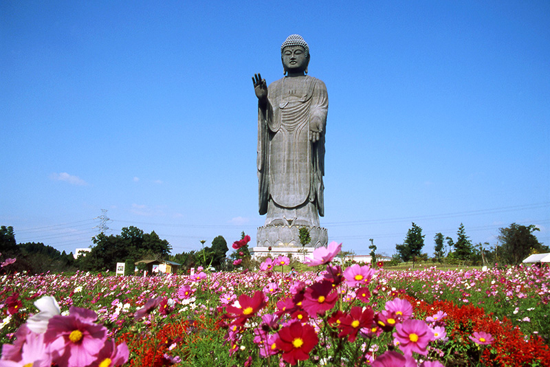 Ushiku Daibutsu