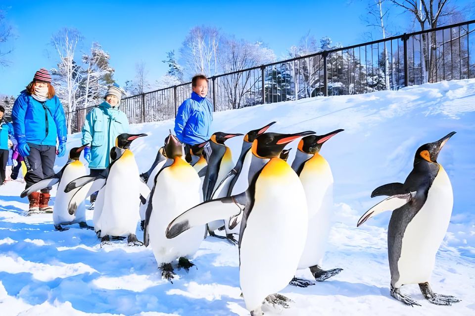 asahiyama zoo