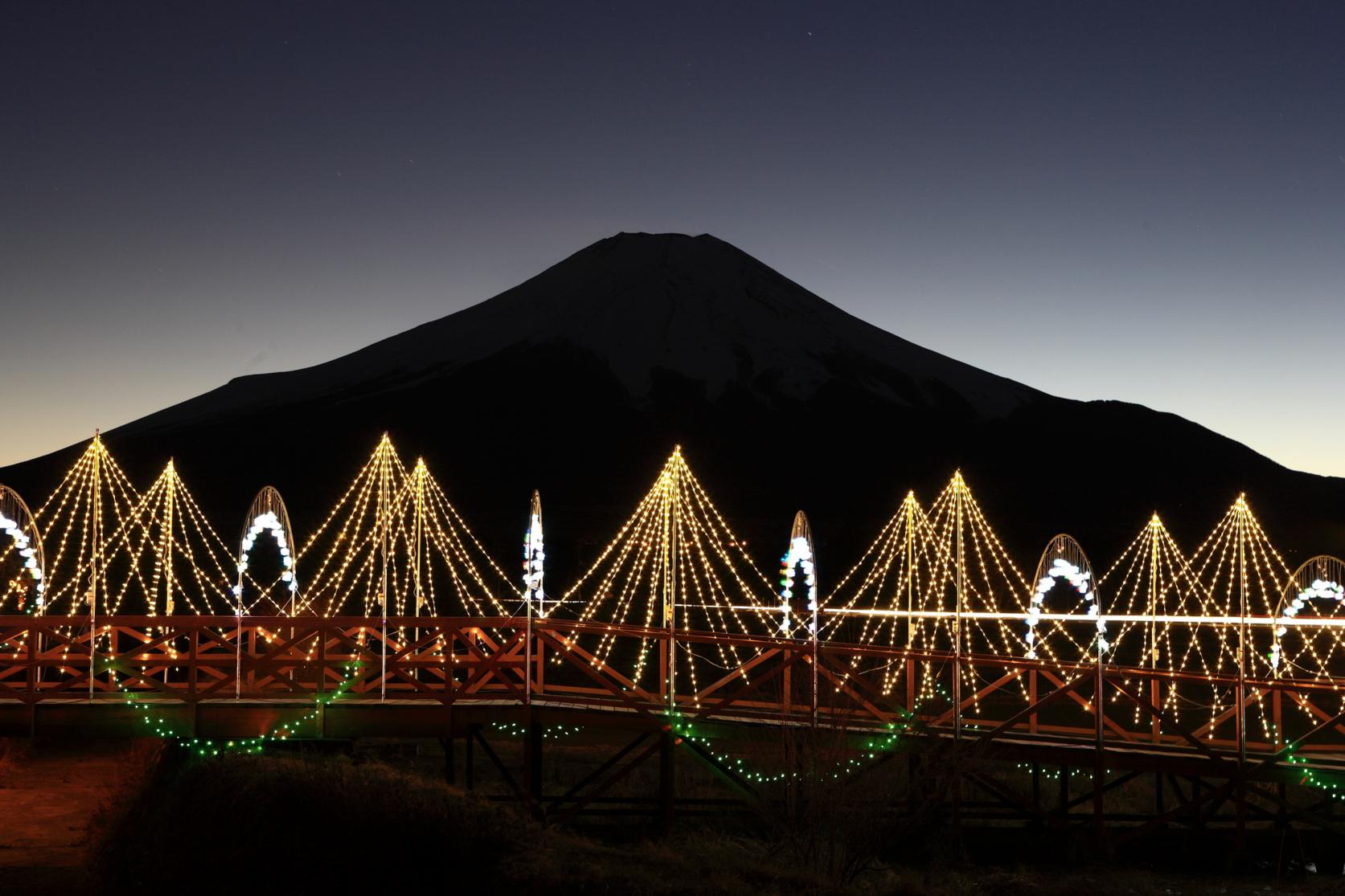 hana no miyako illumination fantaseum
