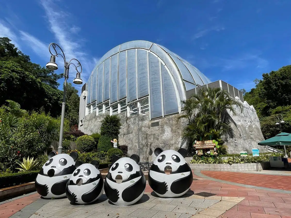 macau giant panda pavilion