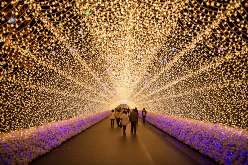 nabana no sato winter illumination