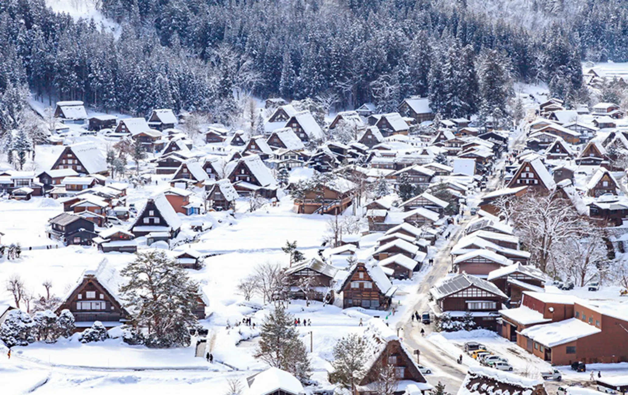 shirakawago winter