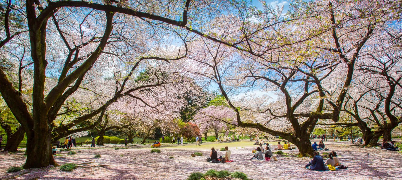 ueno-park