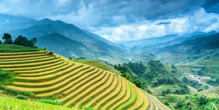 นาขั้นบันได ซาปา