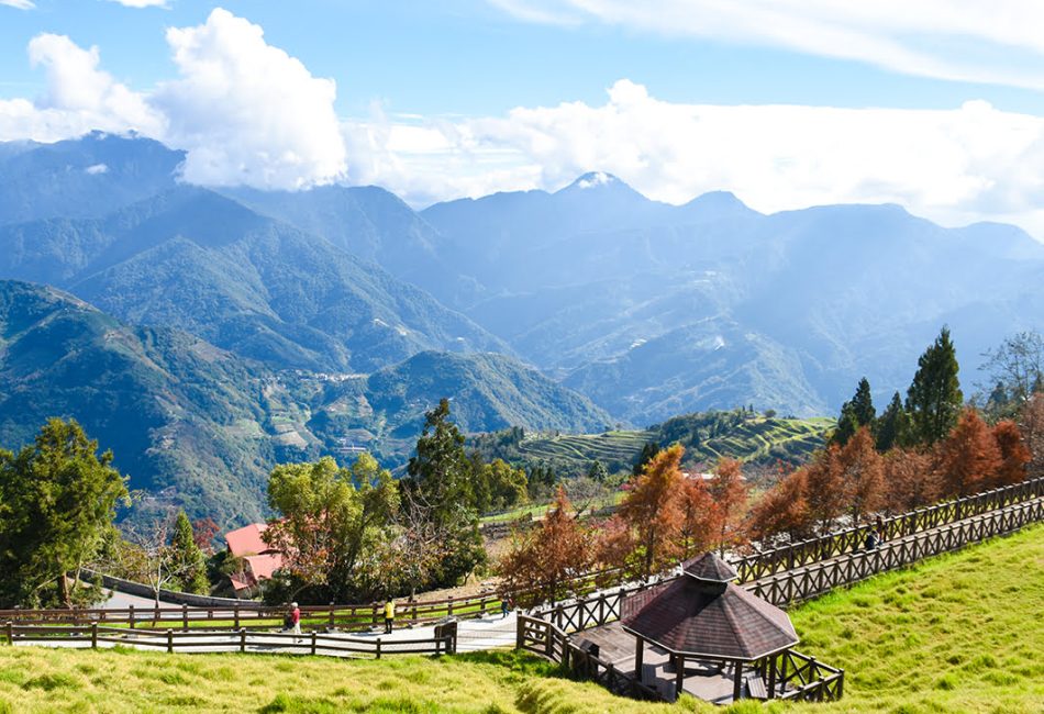 ฟาร์มชิงจิ้ง1